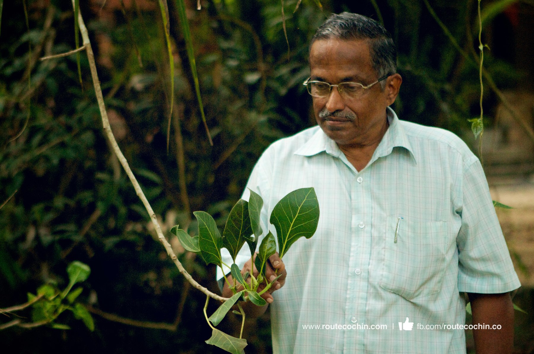 THE WONDERLAND  Alungal Farms -  Purushothama Kamath, a horticulturist, who is on a mission to protect endangered herbs and trees.