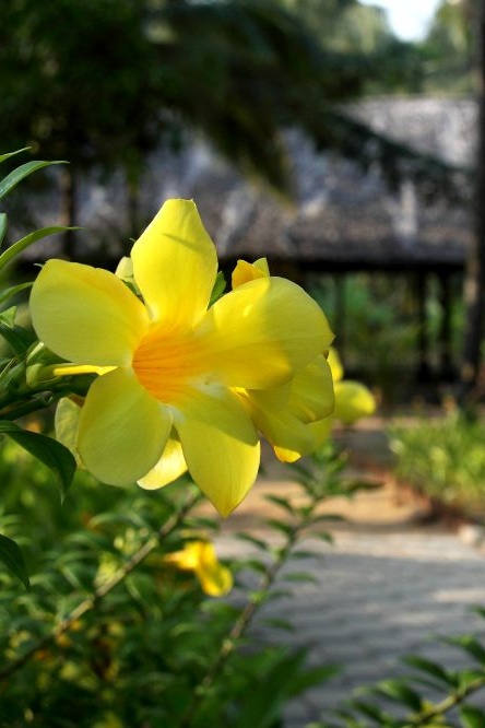 Sprit Image