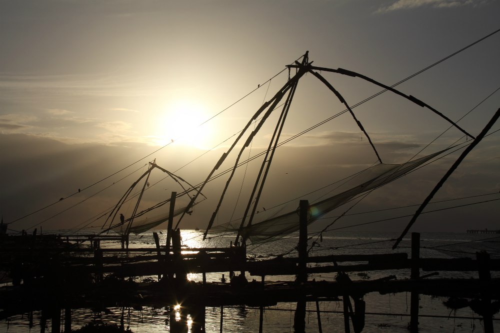 DAY 2: FORT COCHIN
- Sightseeing
- Chinese nets and fish market during the sunset   