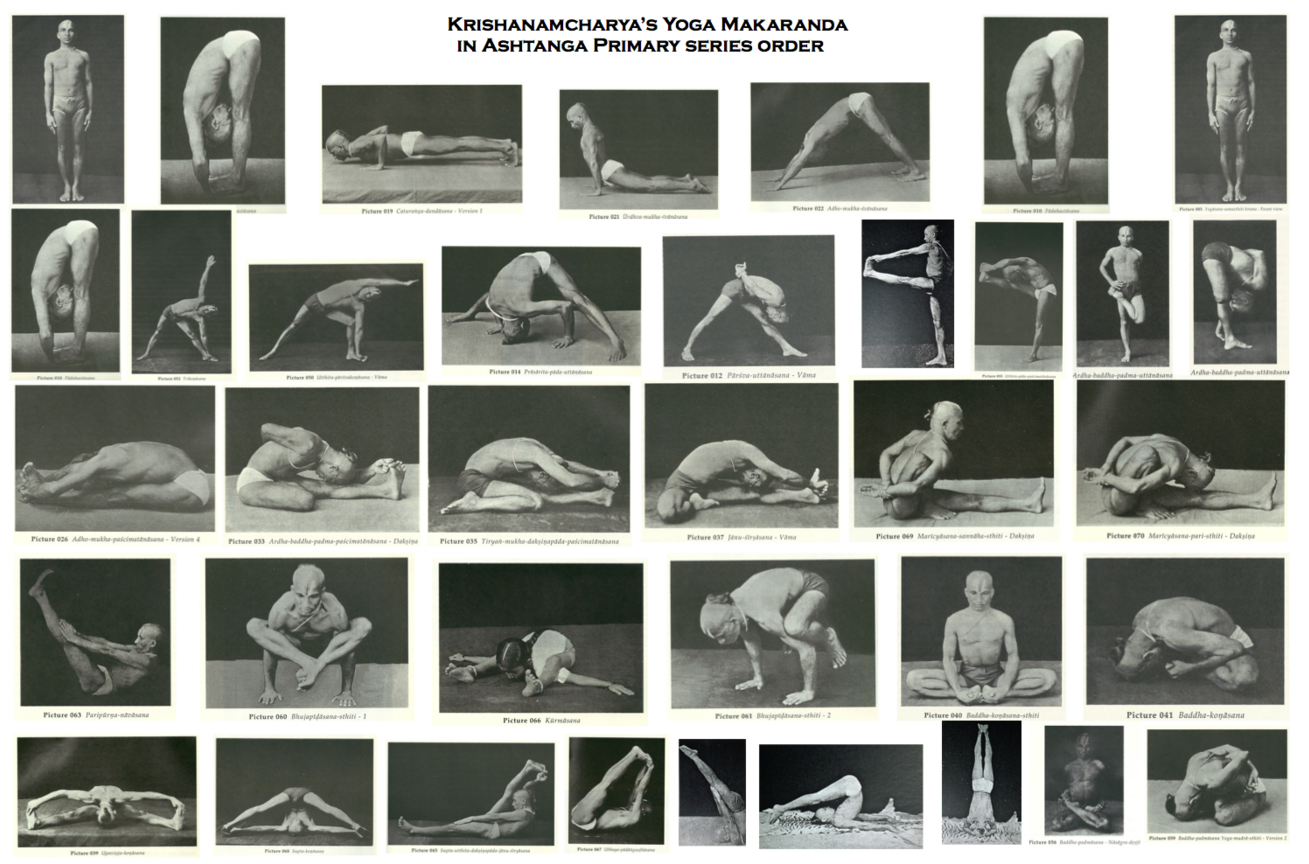 The 10 Different Yoga Lineages | Daily Infographic