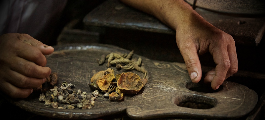 THE MEDICINE MAN  -  The medicines being chopped by placing them on a piece of the trunk of an old tree.